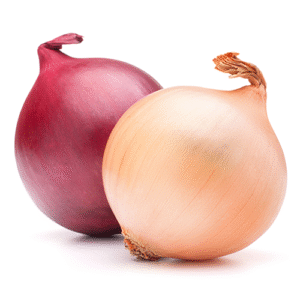 red & golden onion