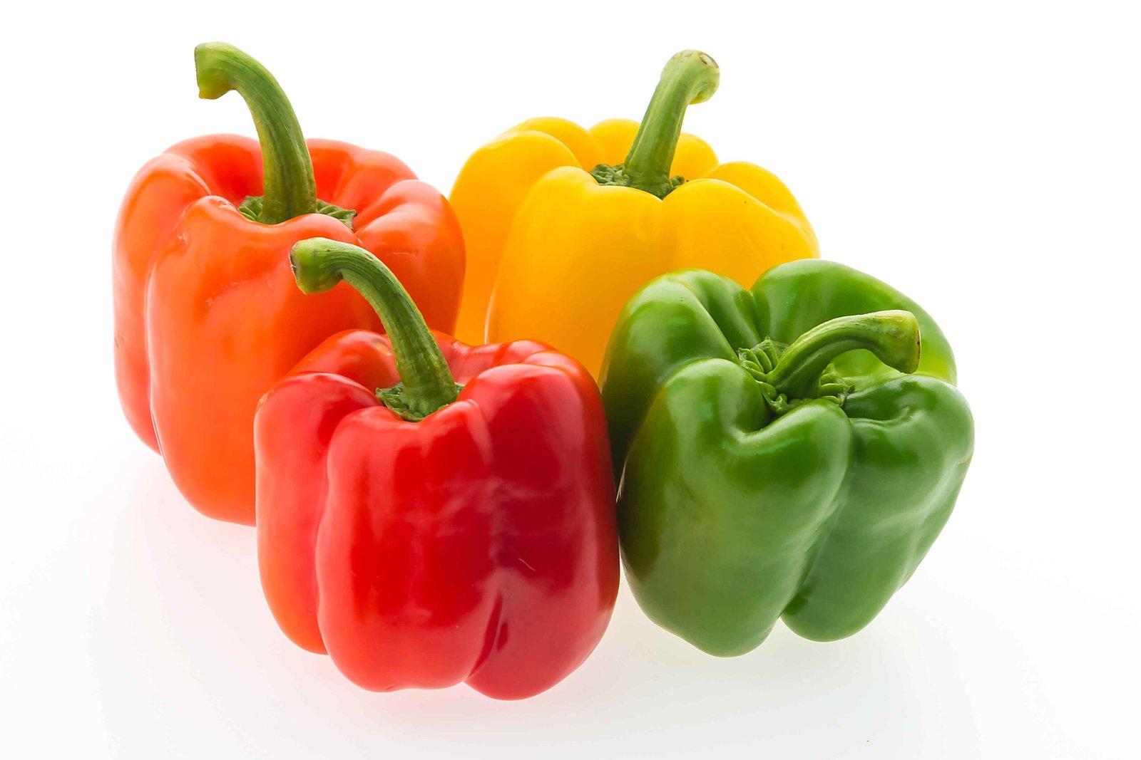 capsicum capsicum