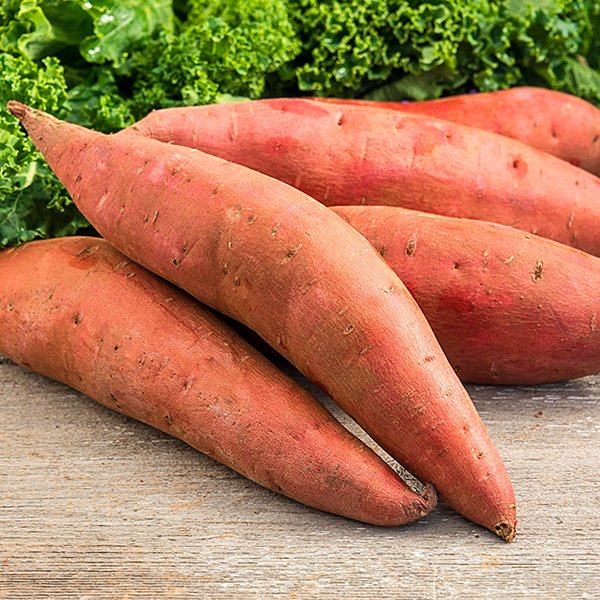 Sweet Potatoes Sweet Potatoes